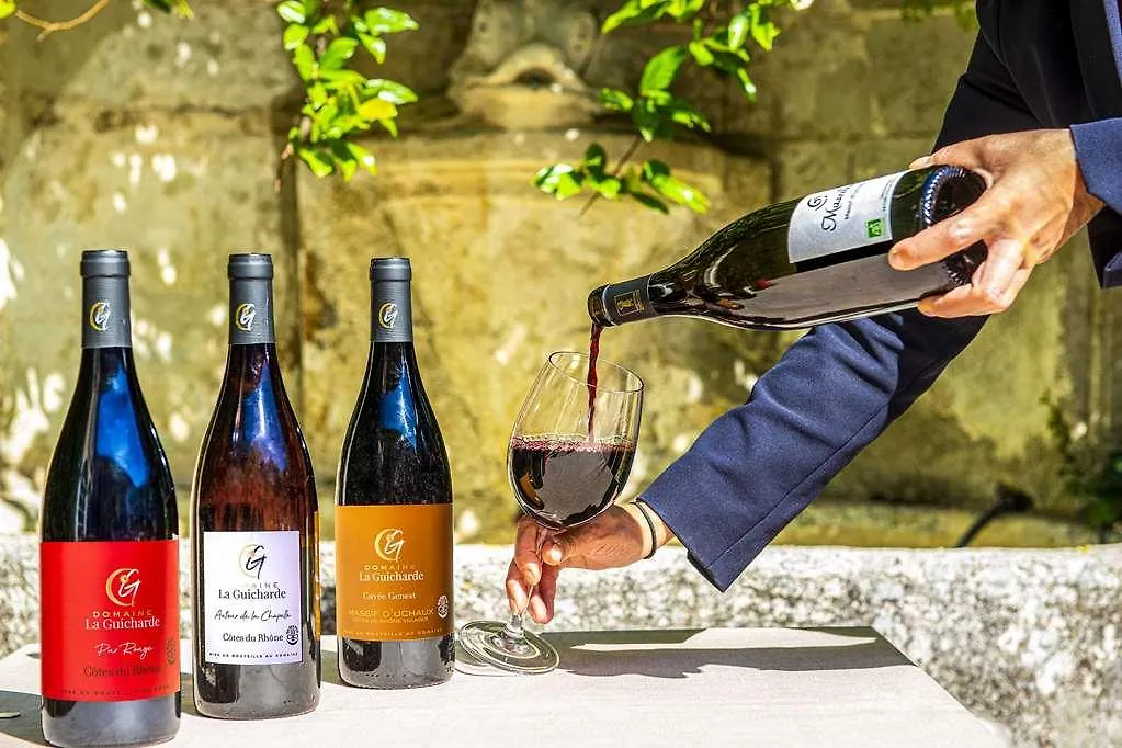 Chateau De Massillan Uchaux 4*,  فرنسا